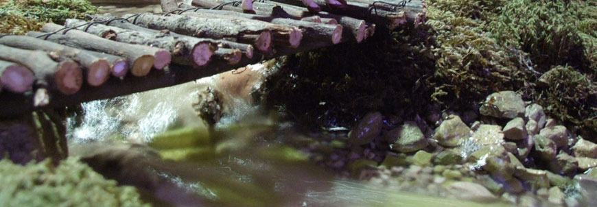 il fiume